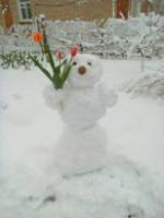 Аватара пользователя