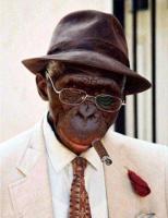 Аватара пользователя