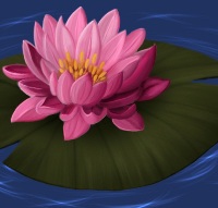 Аватара пользователя