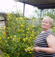 Аватара пользователя