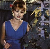 Аватара пользователя