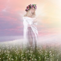 Аватара пользователя