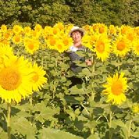 Аватара пользователя