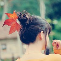 Аватара пользователя