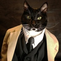 Аватара пользователя