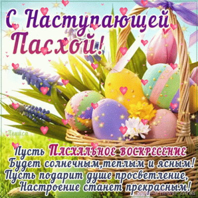 pasha1.gif
