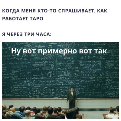 Taro_1.jpg